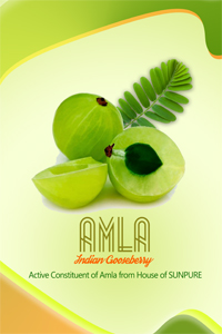 Amla Brouchure