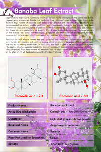 Banaba Leaf Extract