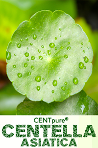 Centella Brouchure