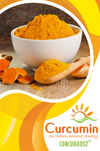 Curcumin Brouchure