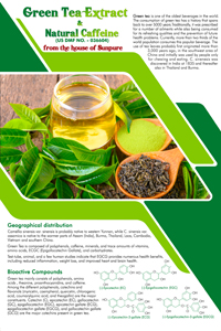 Green Tea Extract