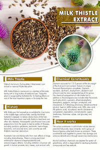 Milk Thistle Extract