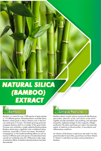 Natural Silica (Bamboo) Extract