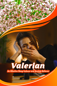 Valerian (Valeriana officinalis)