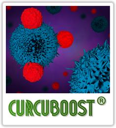 CurcuBoost