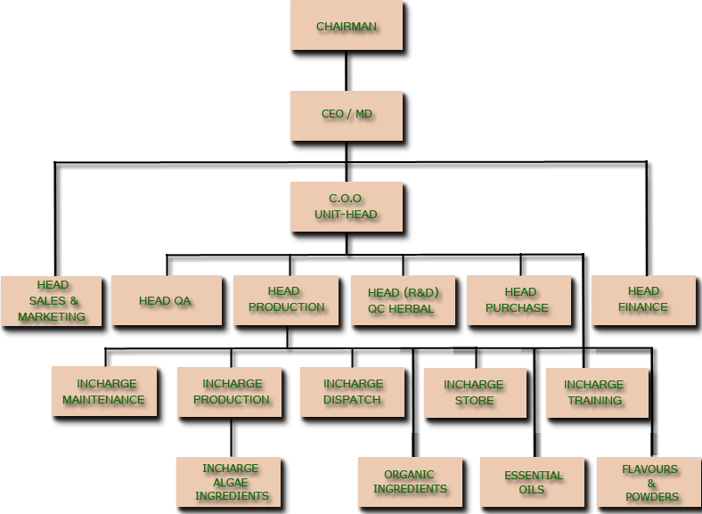 SUNPURE ORGANOGRAM